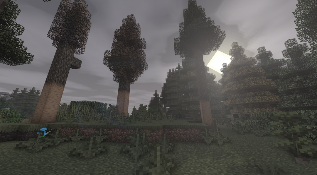 The Flight: Character Backstory